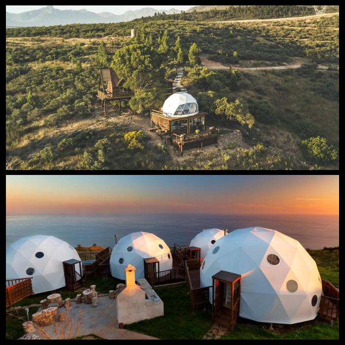 Don’t Give Up The Daydream – No 8