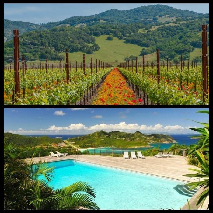 Dont-give-up-the-daydream-700-×-700-px-2-1-1