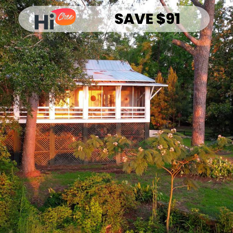 Copy-of-SAVE-3737-2022-11-09T235838.397