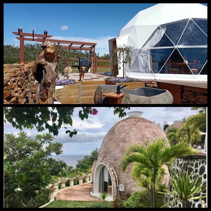 Copy-of-Dont-give-up-the-daydream-700-×-700-px-15