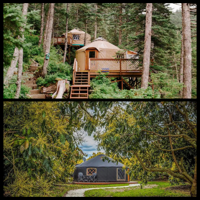 Copy-of-Dont-give-up-the-daydream-700-×-700-px-16