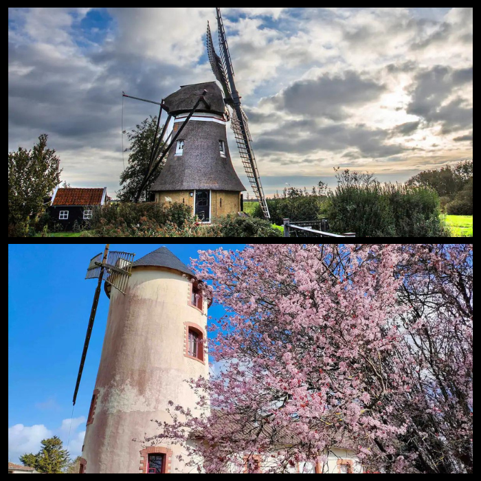 Copy-of-Dont-give-up-the-daydream-700-×-700-px-19