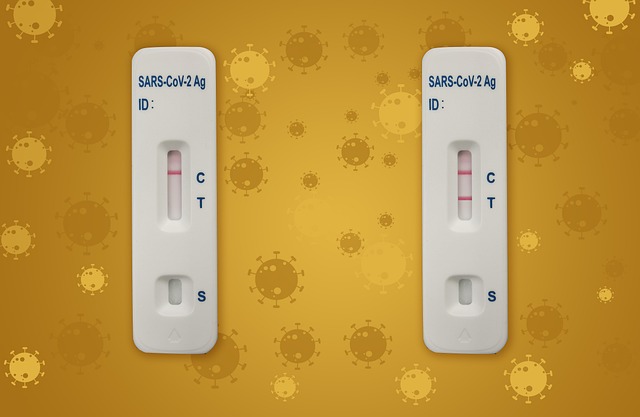 What does Trip cancellation coverage entail?