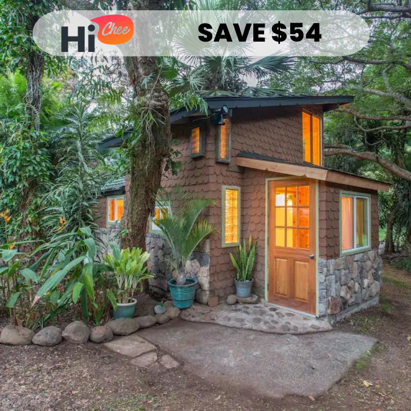 Copy-of-SAVE-3737-2023-03-24T095726.676