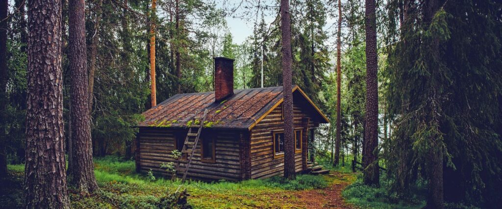 Cabin in the woods