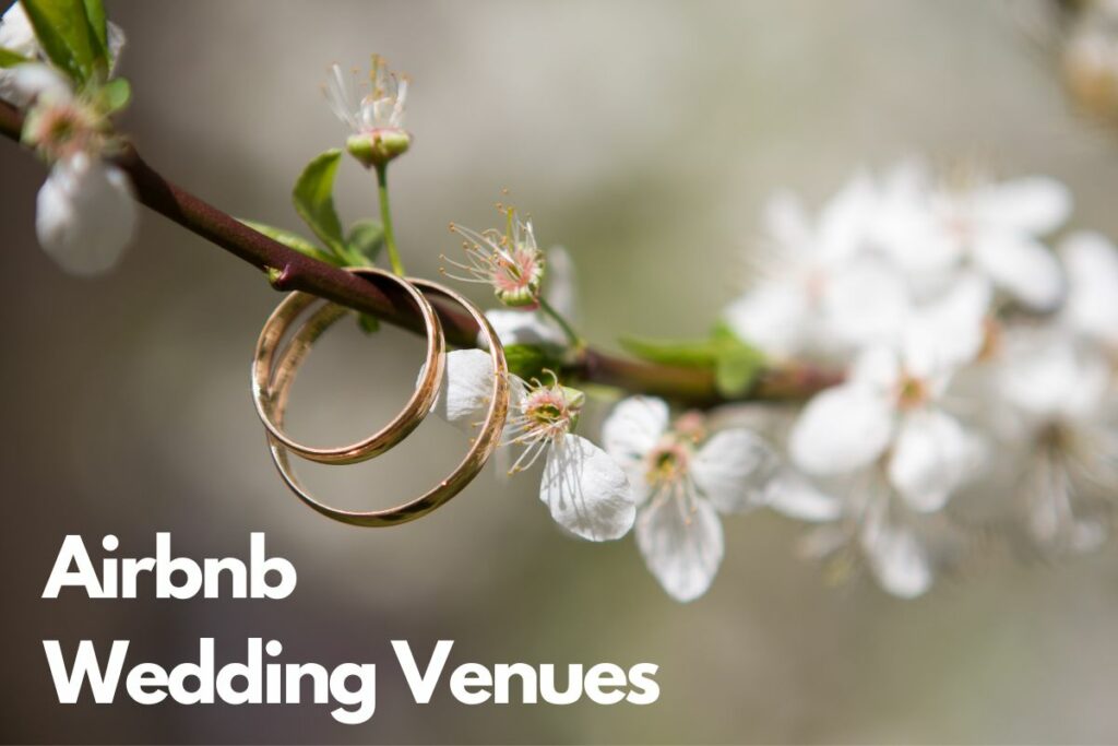 Airbnb Wedding Venue In New Mexico