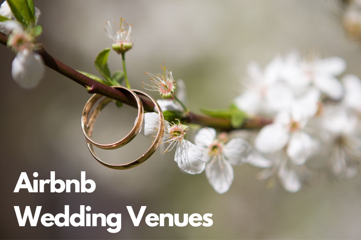 Airbnb Wedding Venue In New Mexico: An Iconic Spot For Saying 'Yes