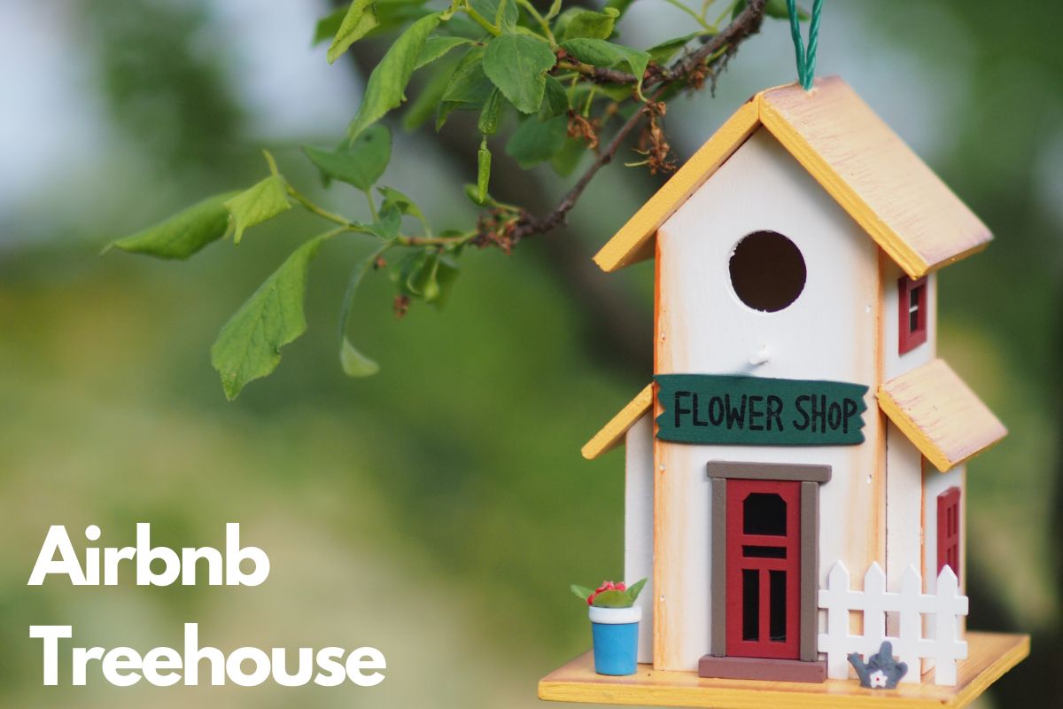 Searching for a unique treehouse experience in Georgia? This Airbnb rental offers a charming, rustic retreat. It's a quaint wooden haven, ideal for glamping rather than a grandiose treetop palace, and that's precisely its appeal. It seems to be the ideal spot for enthusiasts of hiking and nature. I envision my wife and I enjoying a morning coffee on the deck, serenaded by the sounds of the early morning bird song.