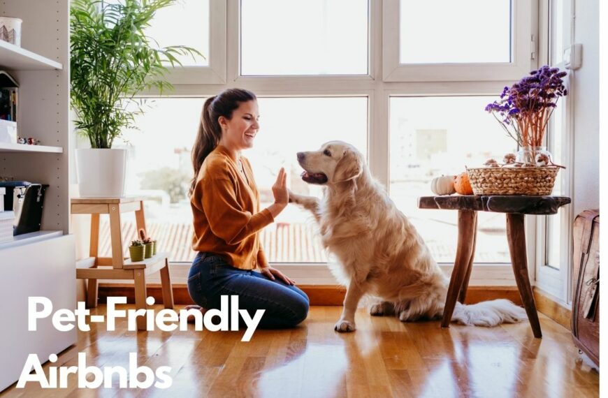 Pet-Friendly Airbnbs
